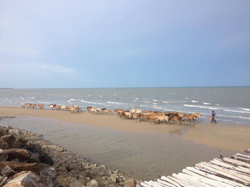 Red Z The Ocean Hotel Puk Tian Bagian luar foto